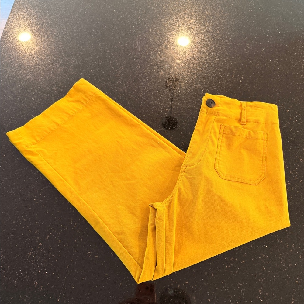 Anthropologie Inspired Crop Flare Pant Sz 29